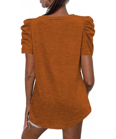 Womens Casual V Neck T Shirt Puff Sleeve Tops Ruched Elegant Summer Shirts 04b-caramel $13.92 T-Shirts