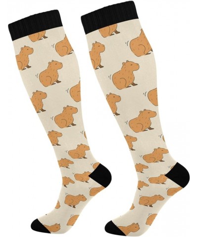 Cute Capybara Compression Socks for Women and Men Circulation Pear Long Socks for Athletic Running 1 1 Color 1 $9.35 Activewear