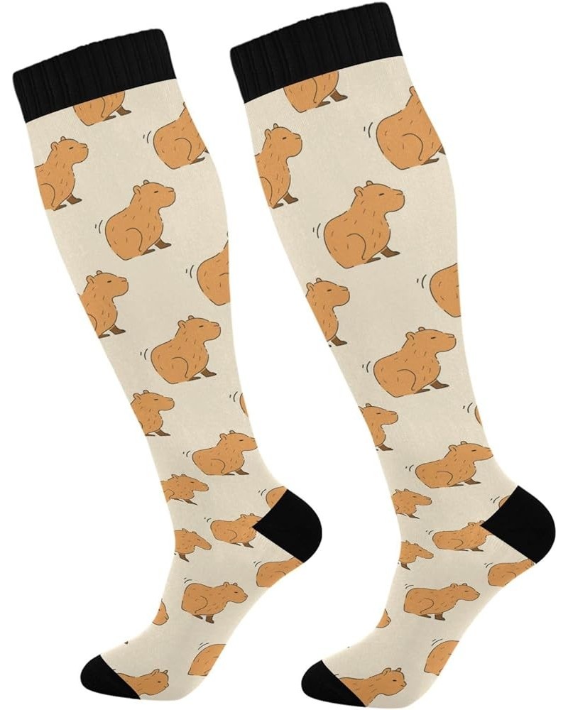 Cute Capybara Compression Socks for Women and Men Circulation Pear Long Socks for Athletic Running 1 1 Color 1 $9.35 Activewear