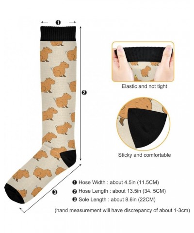 Cute Capybara Compression Socks for Women and Men Circulation Pear Long Socks for Athletic Running 1 1 Color 1 $9.35 Activewear