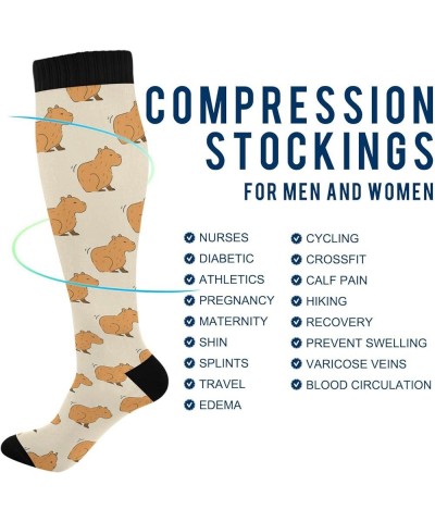 Cute Capybara Compression Socks for Women and Men Circulation Pear Long Socks for Athletic Running 1 1 Color 1 $9.35 Activewear