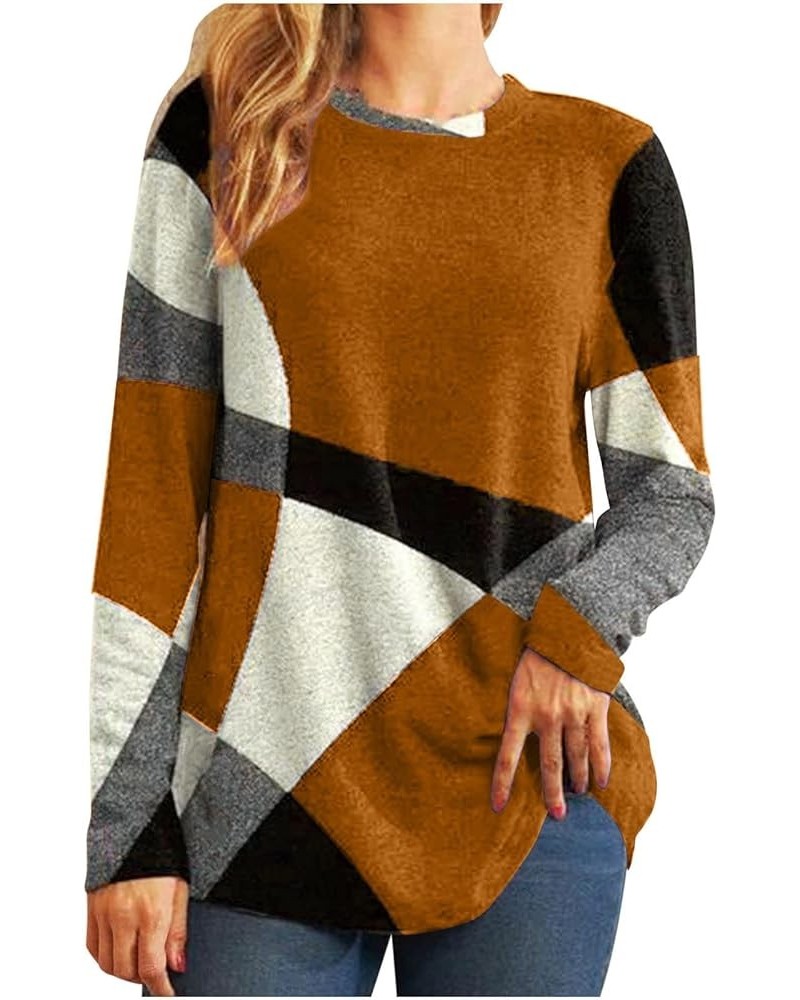 Long Sleeve Shirts for Women Color Block Patchwork Shirt Crewneck Loose Fit Blouse Plus Size Dressy Casual Tunic Tops 01light...