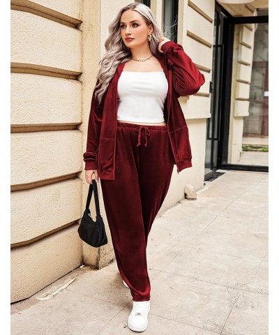 Women's Plus Size Velour Tracksuit Long Sleeve Sweatsuit 2 Piece Jogging Outfit Zip Up Hoodie With Pockets Senior Wine Red $2...