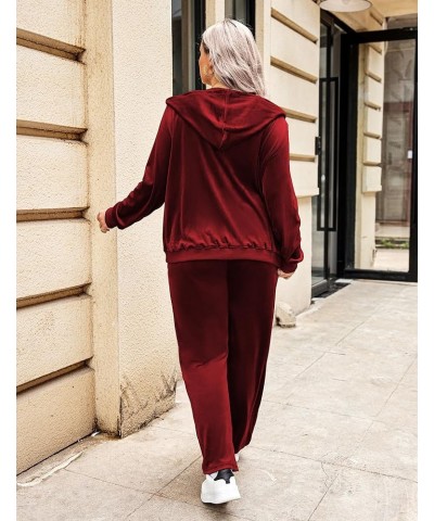 Women's Plus Size Velour Tracksuit Long Sleeve Sweatsuit 2 Piece Jogging Outfit Zip Up Hoodie With Pockets Senior Wine Red $2...