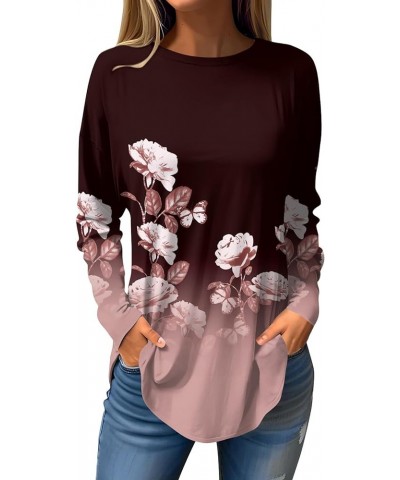 Womens Long Sleeve T Shirts Fall Tunics Tops Blouses Dressy Casual Round Neck Active Long Sleeve Tops Winter Outfits F267-win...