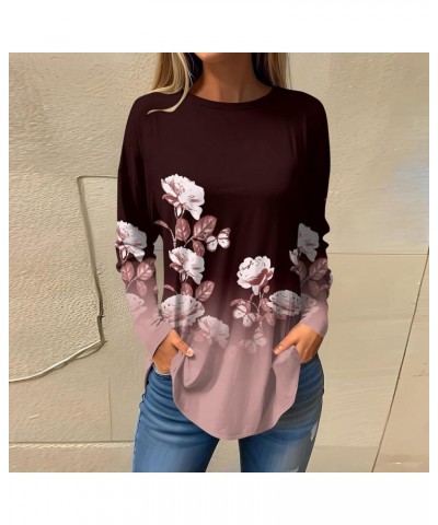 Womens Long Sleeve T Shirts Fall Tunics Tops Blouses Dressy Casual Round Neck Active Long Sleeve Tops Winter Outfits F267-win...