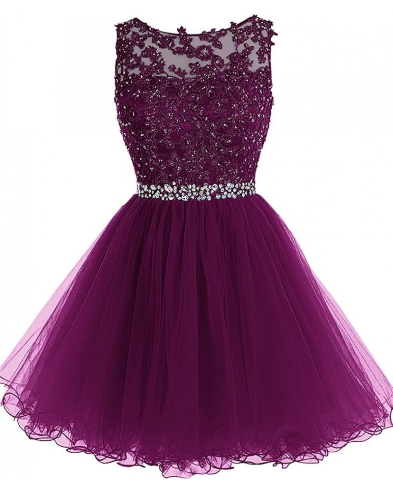 Women's Short Tulle Homecoming Dress Lace Cocktail Prom Graduation Gowns Grape $32.25 Dresses