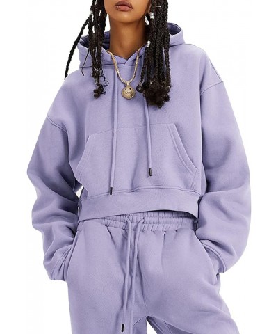 Sweatsuits Joggers 2 Piece Sweat Sets Pullover Jogging Tracksuit Hoodie Set Lightpurple $24.00 Activewear