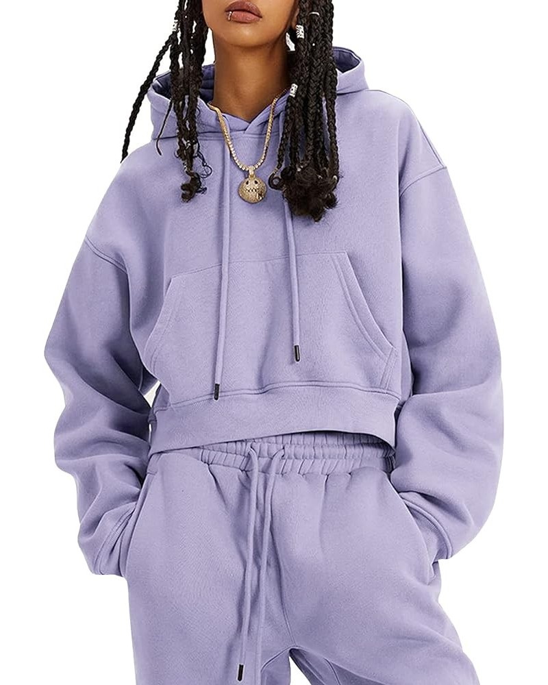 Sweatsuits Joggers 2 Piece Sweat Sets Pullover Jogging Tracksuit Hoodie Set Lightpurple $24.00 Activewear