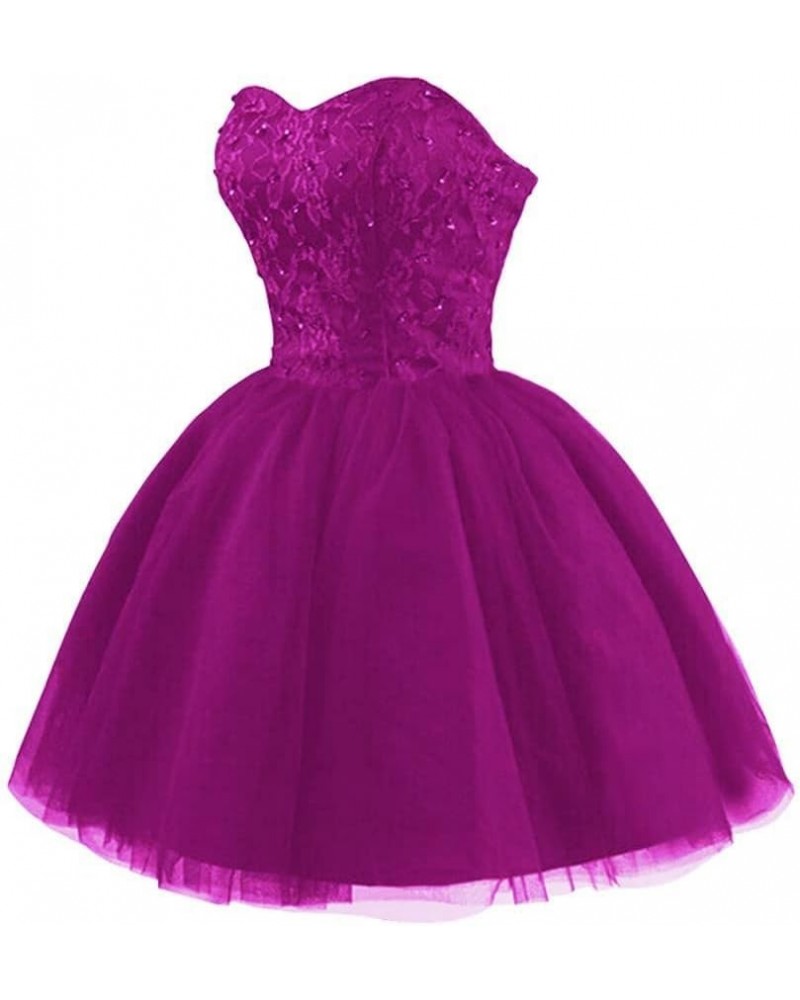 Tulle Homecoming Dresses Short Cocktail Dresses Formal Prom Party Gowns for Juniors Lace Appliques Fuchsia $37.00 Dresses